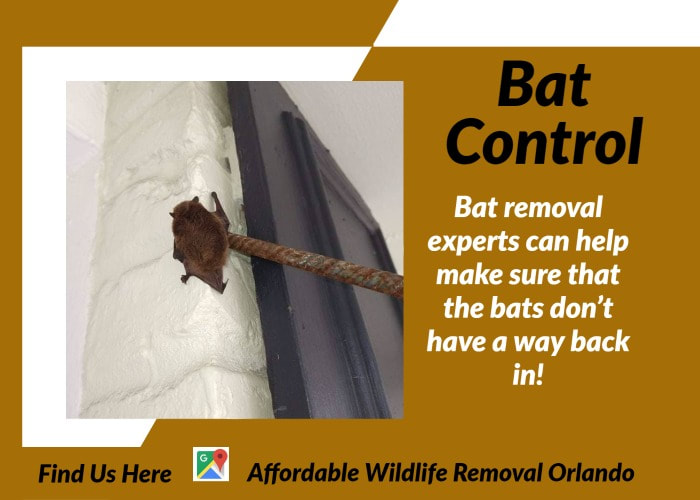 Bat Control